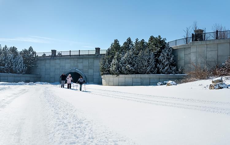 Family cross-country skiing under bridge
