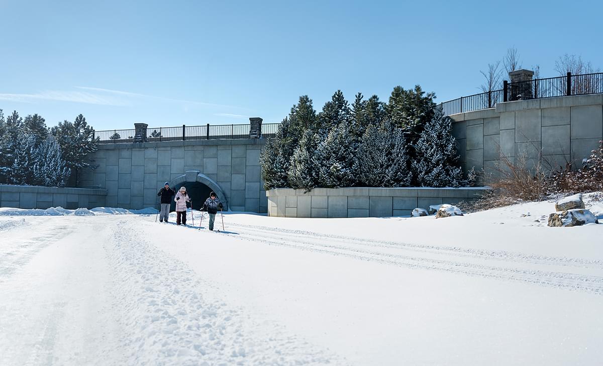 Family skis under bridge